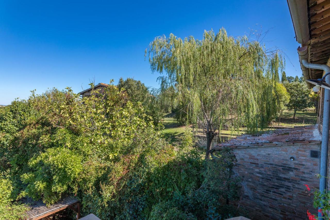Podere Albereto Buonconvento Εξωτερικό φωτογραφία
