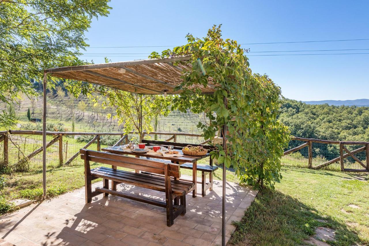 Podere Albereto Buonconvento Εξωτερικό φωτογραφία